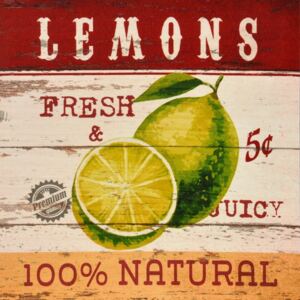 Obraz na plátne - Lemons (100% natural)