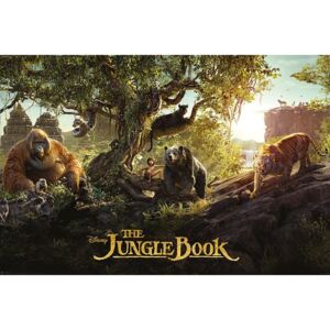Plagát - Kniha džunglí, The Jungle Book (2)
