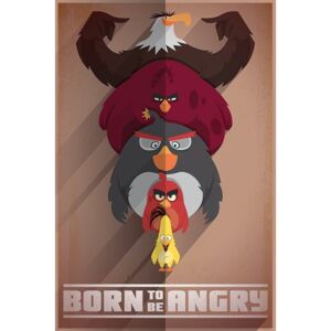 Plagát - Angry Birds (Born to be Angry)