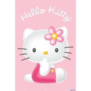 Plagát - Hello Kitty 3d