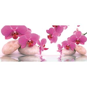 Donga Fototapeta: Orchidea a kamene - 104x250 cm