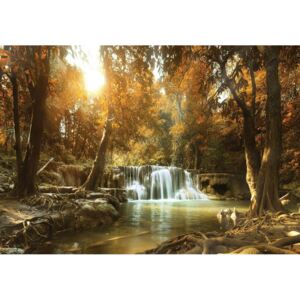 Donga Fototapeta vliesová: Vodopády v lese (1) - 254x368 cm