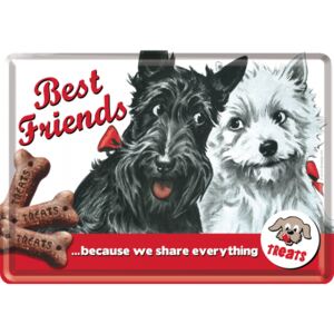 Nostalgic Art Plechová pohľadnice - Best Friends