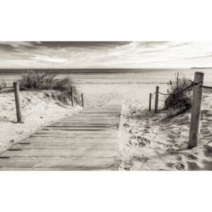 Donga Fototapeta vliesová: Pláž (čiernobiela) - 254x368 cm