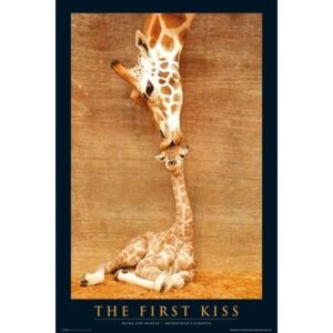 Plagát - First Kiss Giraffe (2)