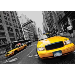 Donga Fototapeta: Manhattan Taxi (2) - 254x368 cm