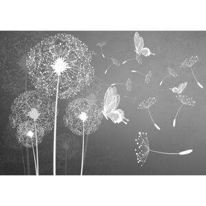 Donga Fototapeta vliesová: Púpavy a motýle - 104x152,5 cm