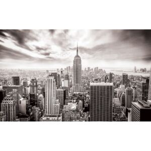Donga Fototapeta vliesová: Pohľad na New York (čiernobiela) - 184x254