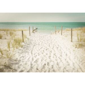 Fototapeta vliesová: Cesta na pláž (11) - 184x254 cm