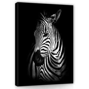 Obraz na plátne: Zebra (2) - 100x75 cm