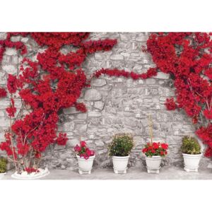 Donga Fototapeta: Červená kvetinová múr - 104x152,5 cm
