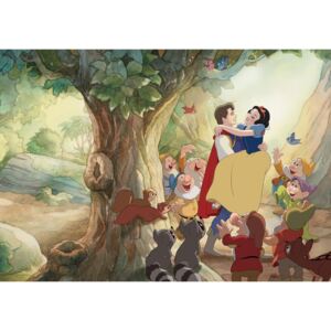 Fototapeta: Snehulienka a princ (Snow White) - 104x152,5 cm