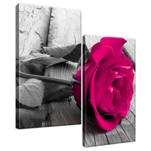 Obraz na plátne Ružová ruža 60x60cm 1141A_2A