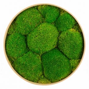 Machový kruh s kopcovitým machom Bolmoss, Rozmer 60 cm, Farba prírodna zelená