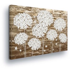 Obraz na plátne - White-leaved Flowers on Brown Background II 100x75 cm