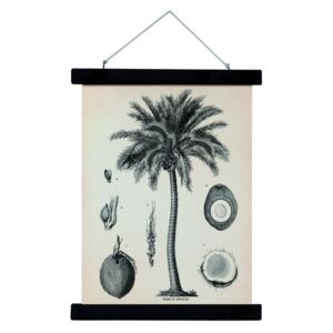 Plátený obraz s rámom Palm Tree M