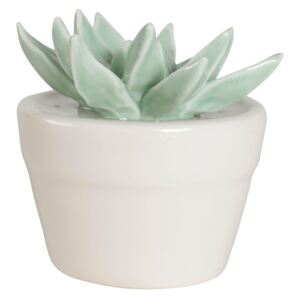 Porcelánová dekorácia Succulent