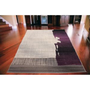 Kusový koberec PP Shad fialový, Velikosti 160x230cm