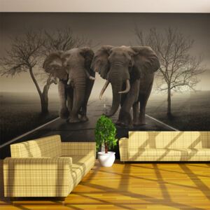 Fototapeta - City of elephants 450x270 cm