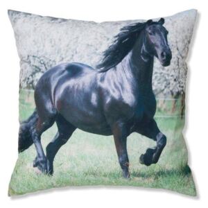 Dekoratívna obliečka na vankúšik čierny kôň