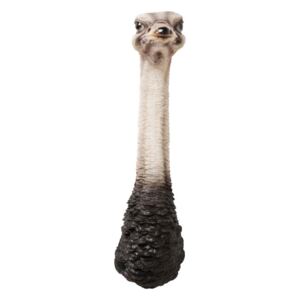 KARE DESIGN Nástenná dekorácia Ostrich