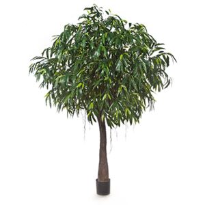 Umelý strom longifolia royal cabana V270 cm
