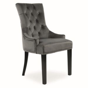 Stolička: SIGNAL EDWARD SIGNAL - stoličky: drevo čierne/ zelená Bluvel 78