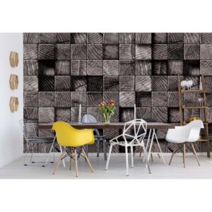 GLIX Fototapeta - 3D Wooden Blocks Texture Black And White Vliesová tapeta - 416x254 cm