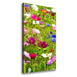 Foto obraz canvas Poľné kvety pl-oc-70x140-f-169402975