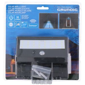 Grundig Grundig - LED Solárne svietidlo so senzorom 1xLED/0,25W/1xAA P2865 + záruka 5 rokov zadarmo