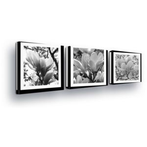 GLIX Obraz na plátne - Black and White Roses in Paspart II 3 x 25x25 cm