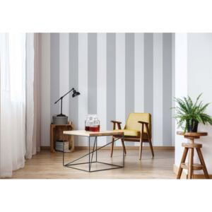 Fototapeta GLIX - Grey And White Stripes + lepidlo ZADARMO Vliesová tapeta - 254x184 cm