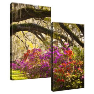Obraz na plátne Silné duby a kvety 60x60cm 1480A_2A