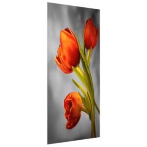 Samolepiaca fólia na dvere Nádherné červené tulipány 95x205cm ND3383A_1GV