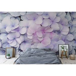 GLIX Fototapeta - Flowers Pastel Purple Hydrangeas Vliesová tapeta - 208x146 cm