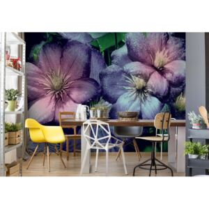 Fototapeta - Purple Flowers Vliesová tapeta - 250x104 cm