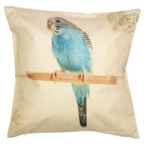 Povlak na vankúš modrá andulka Parakeet - 43 * 43 cm