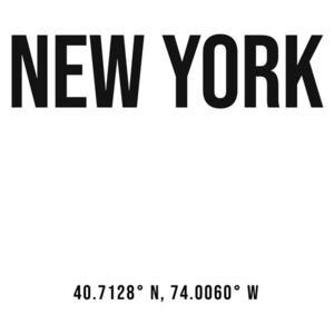 Umelecká fotografia New York simple coordinates, Finlay Noa
