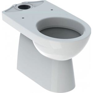 Stojacie WC Geberit Selnova pre nasadenú nadomietkovú splachovaciu nádržku, WC s hlbokým splachovaním, zvislý odtok, uzavretý tvar 500.151.01.1