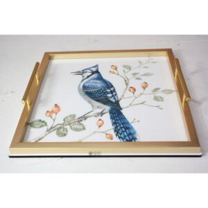 Plastová tácka s modrým vtákom (36x36cm) - moderný štýl