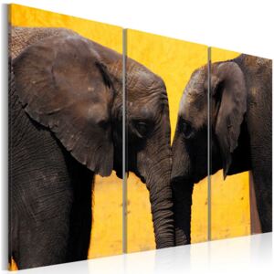 Obraz na plátne - Sloní polibek 60x40 cm
