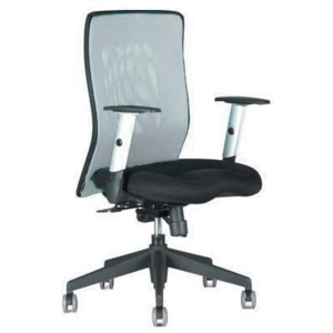 Kancelárska stolička Calypso XL, sivá