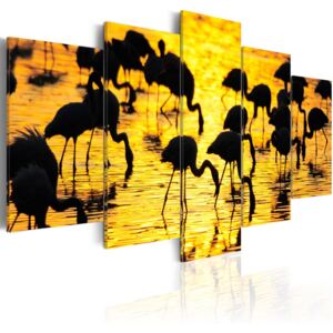 Obraz na plátne - Plameňáci na jezeře 100x50 cm