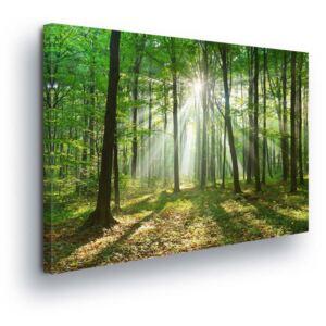 Obraz na plátne - Forest Glow II 3 x 30x100 cm
