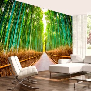 Fototapeta Bimago - Bamboo Forest + lepidlo zadarmo 350x245 cm