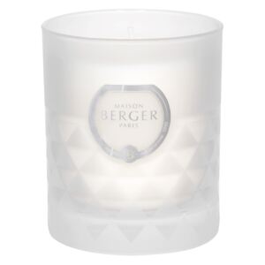 Maison Berger Paris Clarity sviečka Vzácny jazmín, 180 g
