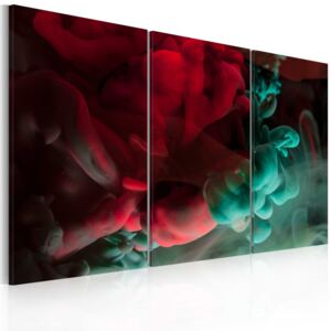Obraz na plátne Bimago - Redness and velvet 120x80 cm