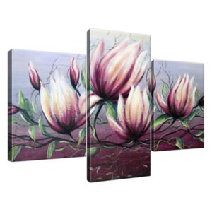 Obraz na plátne Kvety magnólie 90x60cm 2382A_3B