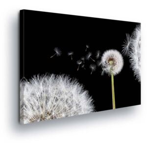 GLIX Obraz na plátne - Blooming Dandelions in Black and White Design II 2 x 40x60 / 2 x 30x80 / 1 x 30x100 cm