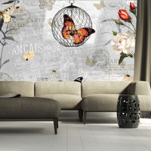 Fototapeta - Butterflies song 250x175 cm